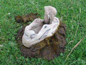 poop shoe